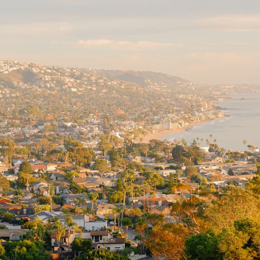 How to Officiate a Wedding in Orange County, California (2026 Guide)